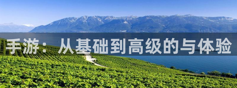 28大神：手游：从基础到高级的与体验