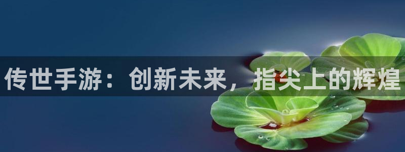 28大神官方网站手机版：传世手游：创新未来，指尖上的辉煌