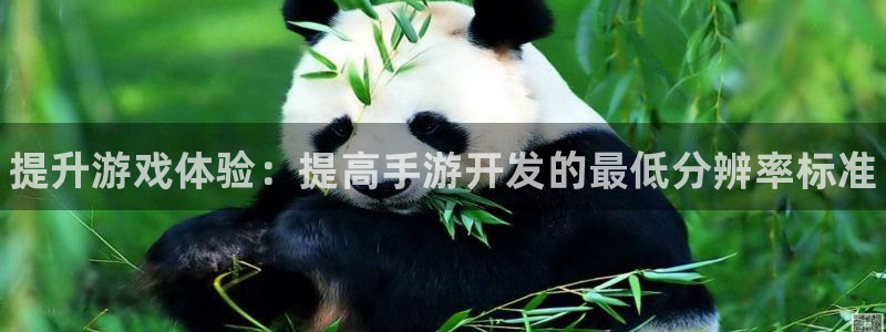 28大神官网网址是什么：提升游戏体验：提高手游开发的最低分辨
