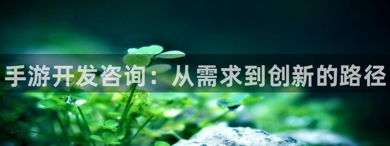 pg国际官网：手游开发咨询：从需求到创新的路径