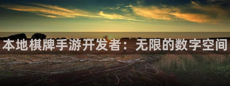pg国际预测官网：本地棋牌手游开发者：无限的数字空间