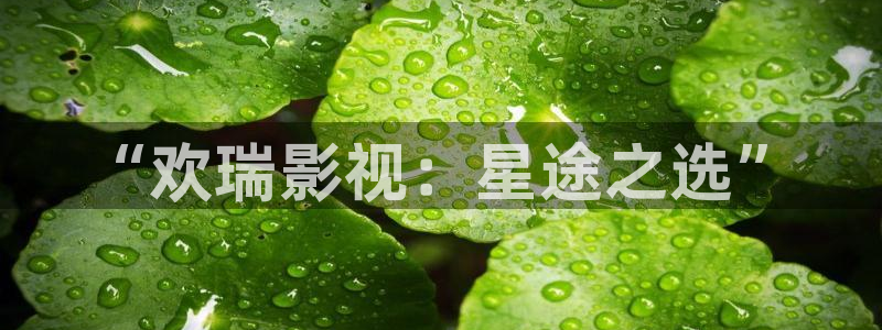 红杏播放亚洲av