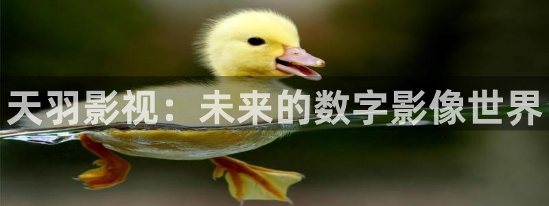 红杏电影完整版免费观看