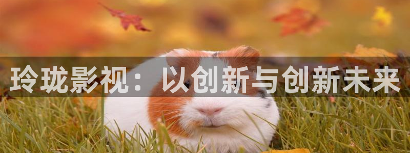 红杏在线影院