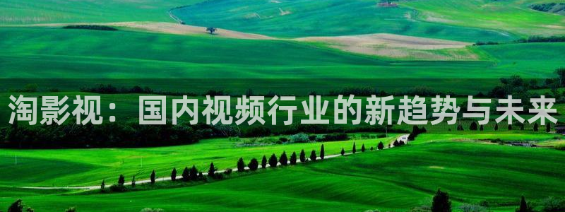 红杏电影免费完整版：淘影视：国内视频行业的新趋势与未来