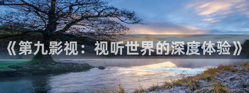 红杏影视在线播放