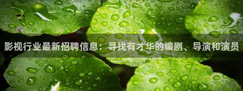 红杏电影完整版免费观看