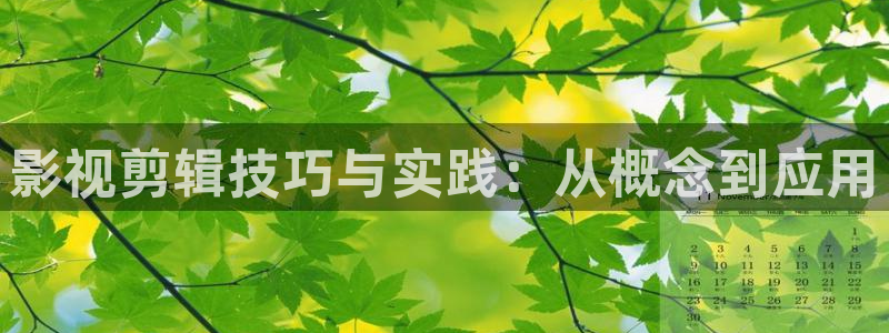 红杏视频在线观看