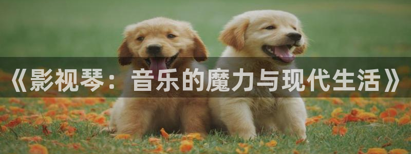红杏私人影院